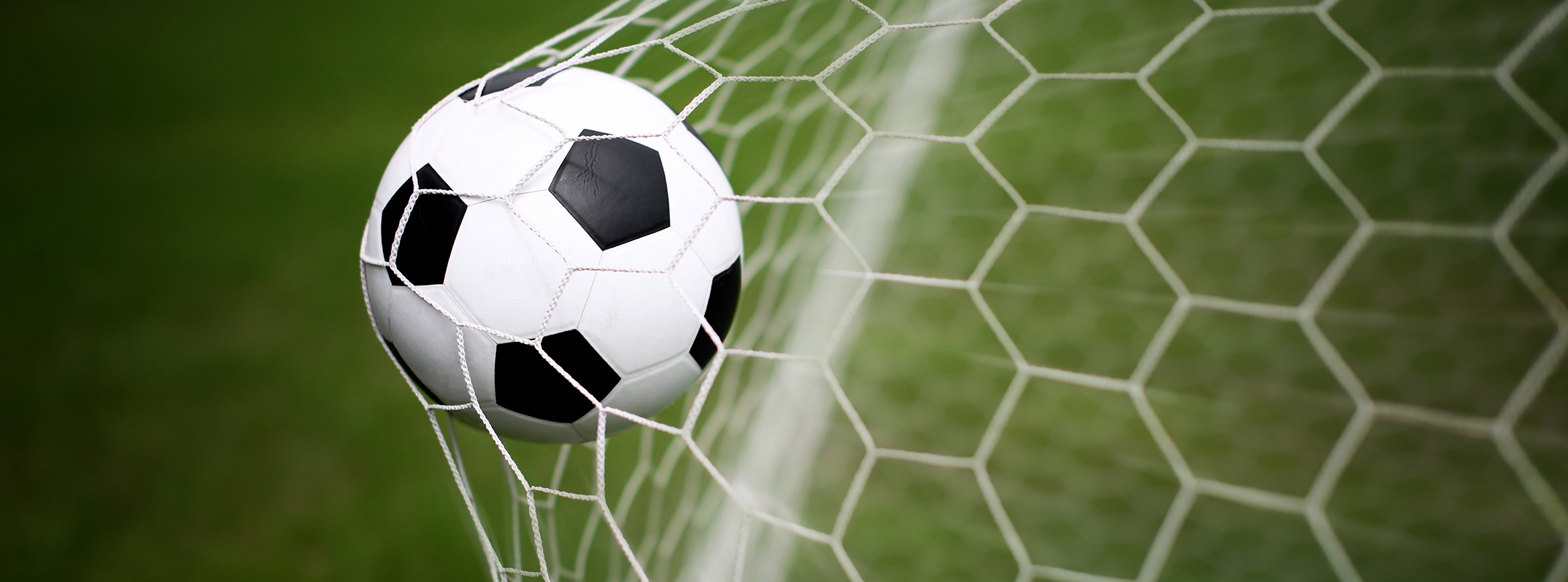Ball hitting the back of the net